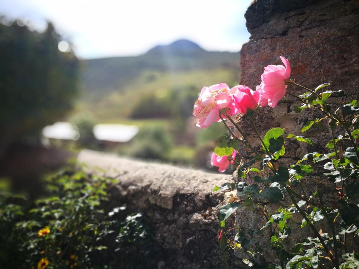 Apartmán La Solana De Babia Torrestío Exteriér fotografie